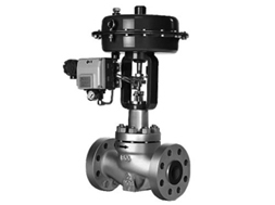 High performance single seat control valve
