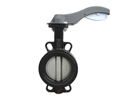 Desulfurization butterfly valve