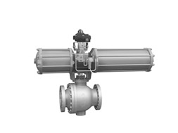 Soft seal ball valve