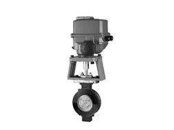Soft seal butterfly valve