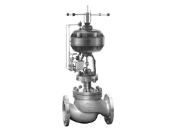Cage control valve