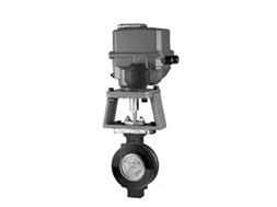 Rubber lined butterfly valve