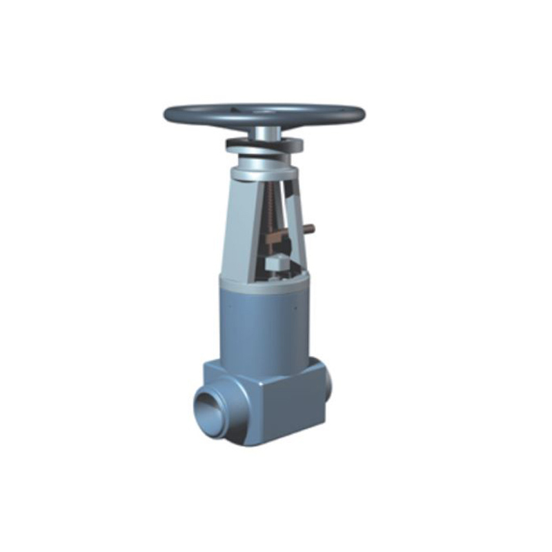 Globe Valves